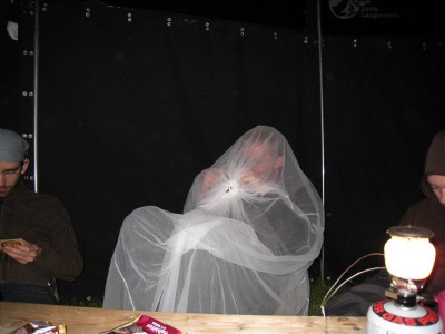 IMG_6917 (Medium)