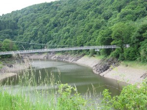IMG_0970