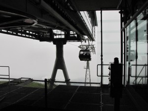 IMG_2973