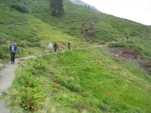 IMG_4633