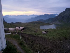 IMG_4758