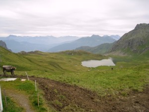 IMG_4779