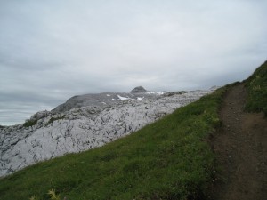 IMG_4791