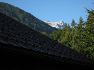 IMG_5054